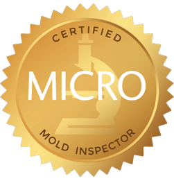 Certified Mold inspector